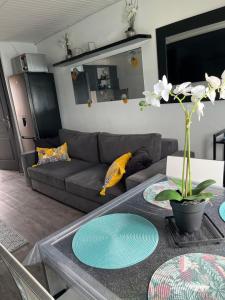 a living room with a couch and a table at 46 Île Paradise Vue Port in Cap d'Agde