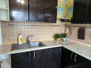 a kitchen with a sink and a counter top at Уютная квартира возле ТЦ Вавилон, Ж/м Солнечный, Малиновского 12, 1-к in Dnipro