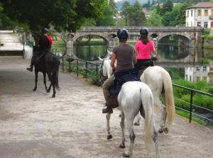 Zvířata v penzionu nebo okolí