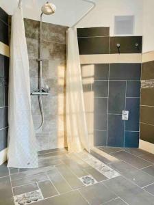 a bathroom with a shower with a shower curtain at Castle and Park View Living in Weilburg in Weilburg