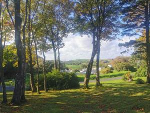 a view of a park with trees and a road at FAB Caravan Holiday Home in Colmonell