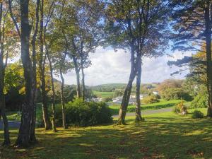 A garden outside FAB Caravan Holiday Home