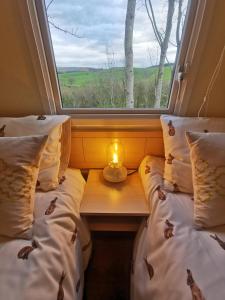 Ένα ή περισσότερα κρεβάτια σε δωμάτιο στο FAB Caravan Holiday Home
