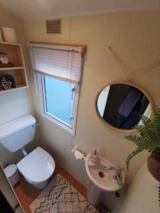 a bathroom with a toilet and a sink and a mirror at FAB Caravan Holiday Home in Colmonell
