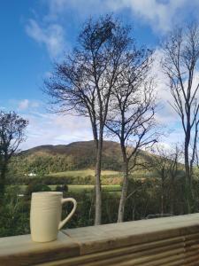 a coffee cup sitting on a wooden ledge with a view at FAB Caravan Holiday Home in Colmonell