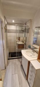 La salle de bains est pourvue d'un lavabo et d'une douche. dans l'établissement Maison PORTIRAGNES près de la mer et du Canal du Midi, à Portiragnes
