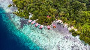 eine Luftansicht auf einen Strand mit Bäumen und Wasser in der Unterkunft Methos Homestay - Raja Ampat in Yennanas Besir