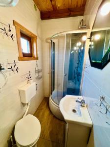 a bathroom with a toilet and a sink and a shower at Wiejskie Zacisze in Wiele