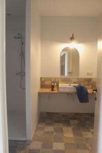 een badkamer met wastafel en douche met spiegel bij Gîte - La Couderquié in Lautrec