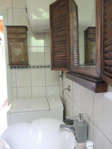 ein Badezimmer mit einem Waschbecken, einem Spiegel und einem WC in der Unterkunft House Zrno in Račišće