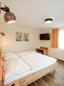 a bedroom with a large bed and a television at Ferienhaus Sporr in Herrnbaumgarten