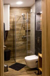 a bathroom with a shower and a toilet in it at Pine tree studio in St. St. Constantine and Helena