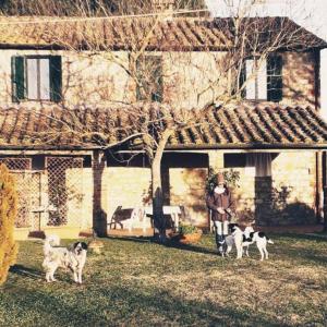 Eine Frau steht vor einem Haus mit drei Hunden. in der Unterkunft CASA INDIPENDENTE con giardino in Castiglione del Lago