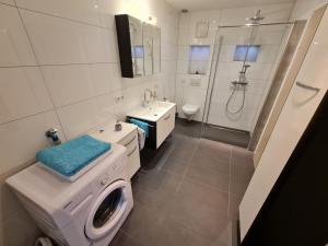 een badkamer met een wasmachine en een wastafel bij Steinershausen 