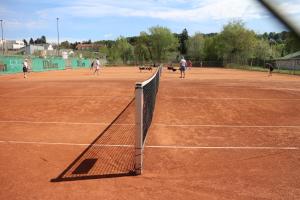 a tennis net on a tennis court with people and dogs at CenterCourt Hotel in Graz