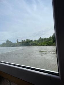 Banatski BrestovacにあるSmall Cabin on river Jabukov cvetのギャラリーの写真