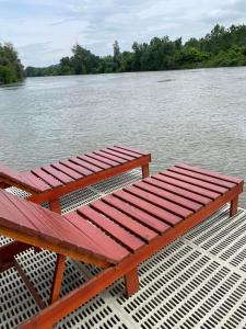 Banatski BrestovacにあるSmall Cabin on river Jabukov cvetのギャラリーの写真