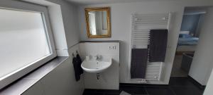 a bathroom with a sink and a mirror at Traumblick Südpfalz in Burrweiler