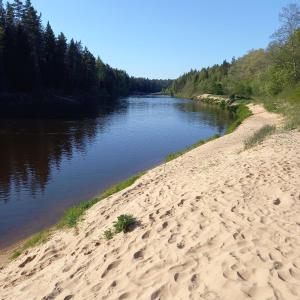 a sandy beach next to a river with trees at Ozolu gatve 2- no Cēsīm 7 km in Jāņmuiža