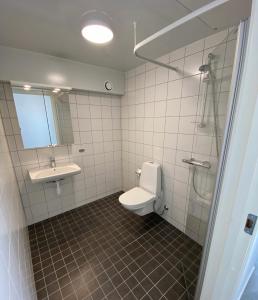 a bathroom with a toilet and a sink and a shower at Beautiful 1- Bed Studio in Sollentuna in Sollentuna