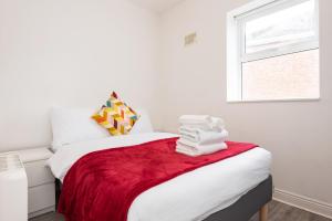 ダブリンにあるCentral Dublin Apartment Near Guinness & Heuston Stationのベッドルーム1室(赤毛布、窓付)