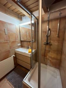 uma casa de banho com um chuveiro e um lavatório. em Seppl Stoba em Schruns