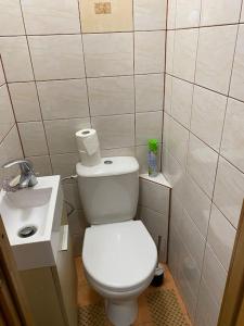 a small bathroom with a toilet and a sink at Small Red-Brick House in Kaunas