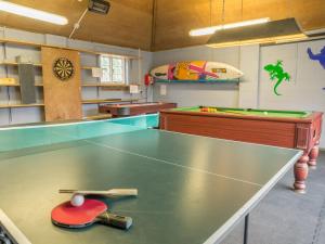 a room with a ping pong table with a paddle at Bearwood House & Cottage in Pembridge