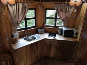 eine kleine Küche mit einer Spüle und einer Mikrowelle in der Unterkunft Village Cottage - Koča na vasi in Nazarje