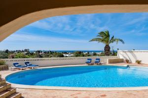 a swimming pool with chairs and a palm tree at Villa Canto dos Buzios in Carvoeiro