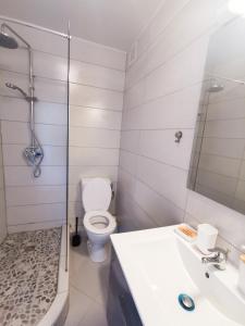 a bathroom with a toilet and a sink and a shower at Le Théâtre du Vieux Foyal - Appartement 4 personnes à Fort-De- France in Fort-de-France