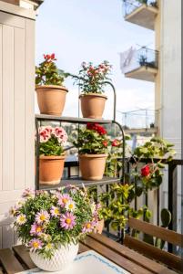 un grupo de flores en macetas en un balcón en Camera privata nell'appartamento in zona residenziale con 2 piscine, en Rapallo