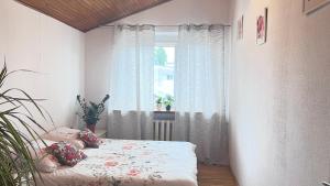 Fotografia z galérie ubytovania Hostel POPLAWOK vo Varšave