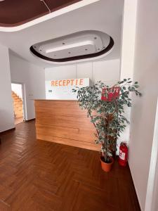 una oficina con recepción y plantas en una habitación en Steffano Costinesti, en Costinesti