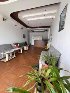 sala de estar con sofá y algunas plantas en Steffano Costinesti, en Costinesti