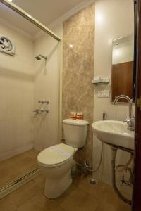 a bathroom with a toilet and a sink and a shower at Hotel Aster Inn New Delhi in New Delhi