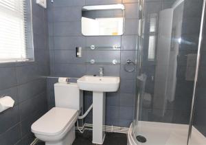 a bathroom with a toilet and a sink and a shower at 1 White Hart House The Wharf in St Ives