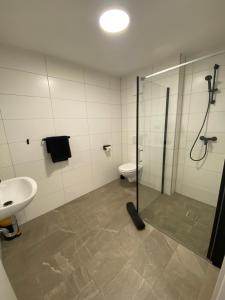 ein Badezimmer mit Dusche, Toilette und Waschbecken in der Unterkunft To Be in Sankt Andrä
