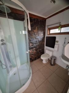 a bathroom with a shower and a toilet and a sink at San Francisco Lodge & Spa in Los Andes