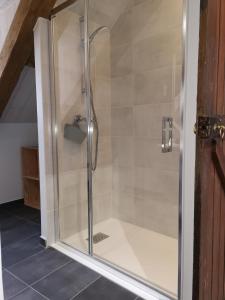 een douche met een glazen deur in een badkamer bij Au Terminus 15 Personnes in Hautvillers