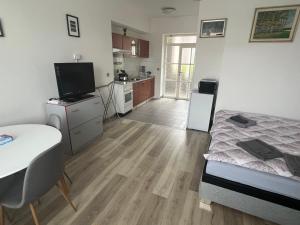Kuchyň nebo kuchyňský kout v ubytování Apartman Discoveryou
