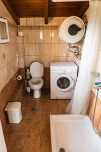 un piccolo bagno con servizi igienici e lavatrice di Julia΄s Apartment a Città di Corfù