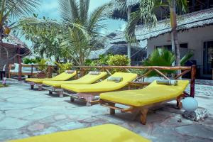 a row of yellow lounge chairs on a patio at Mvuvi Fishing Lodge in Watamu