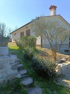 a house with a tree and stairs in front of it at House in Istria in Plomin