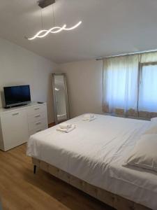 a bedroom with a white bed and a television at House in Istria in Plomin