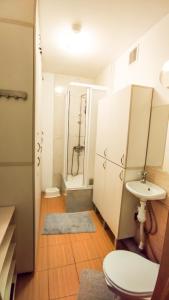 uma casa de banho com um WC, um lavatório e um chuveiro em Inessa Center Guest PenthHouse em Chisinau