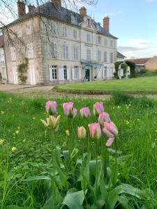 un ramo de flores rosas delante de un edificio en Chateau de Bellefontaine, 