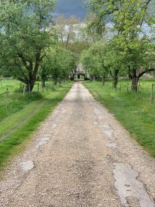 un camino de tierra con árboles y una casa en la distancia en Chateau de Bellefontaine, 