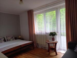 a bedroom with a bed and a large window at Apartamenty AGAT in Pieszyce