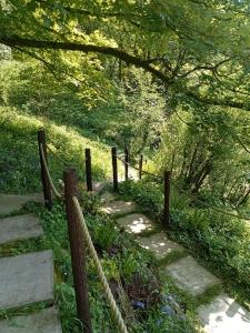 'Morris' the shepherd's hut and woodland hot tub experience外面的花园